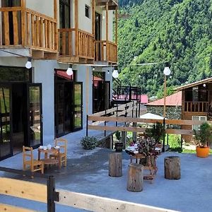 Guest House Guli